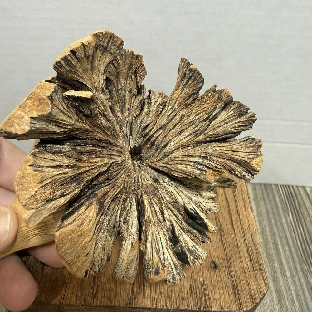 Hand Carved Eagle Wooden With Raw Edge Patriotic